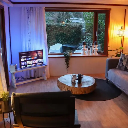 Tranquil Forest By A Pond In Veluwe, Sleeps 4 Chalet