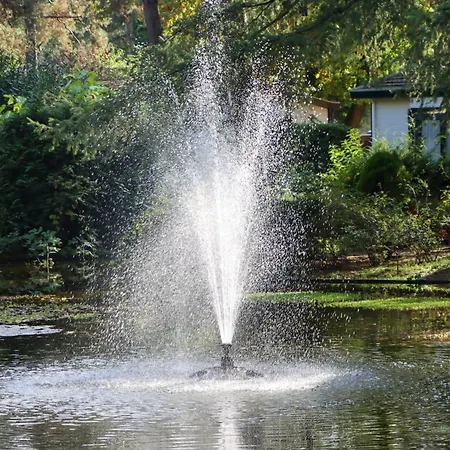 Tranquil Forest By A Pond In Veluwe, Sleeps 4 * Doornspijk