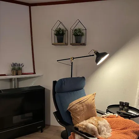 Tranquil Forest By A Pond In Veluwe, Sleeps 4 * Doornspijk