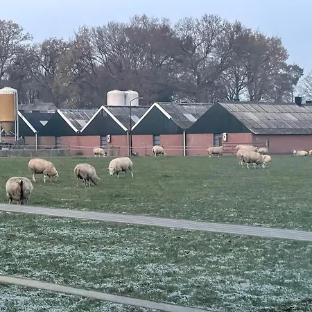 Tranquil Forest By A Pond In Veluwe, Sleeps 4 Шале
