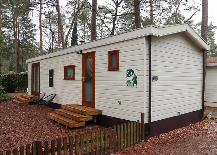 Tranquil Forest By A Pond In Veluwe, Sleeps 4 Doornspijk