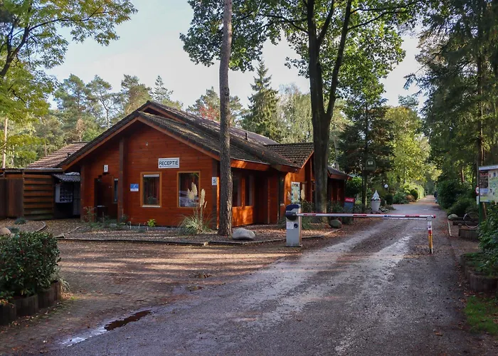 Tranquil Forest By A Pond In Veluwe, Sleeps 4 Chalet *