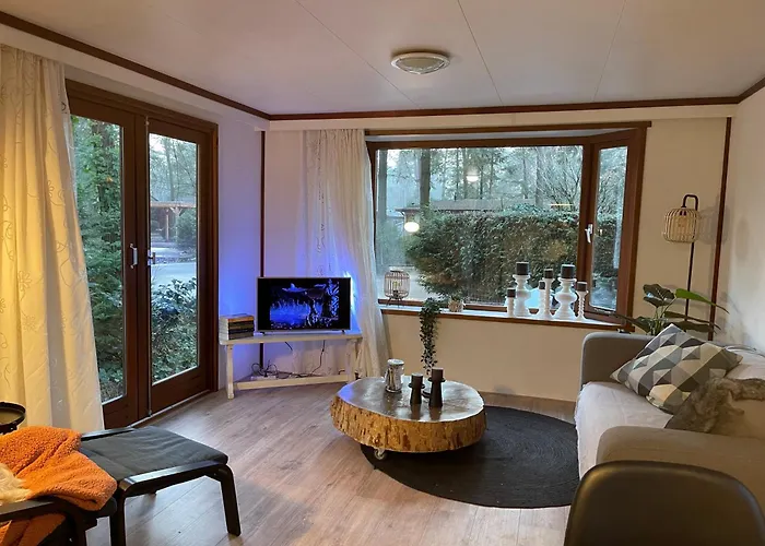 Tranquil Forest By A Pond In Veluwe, Sleeps 4 Chalet *