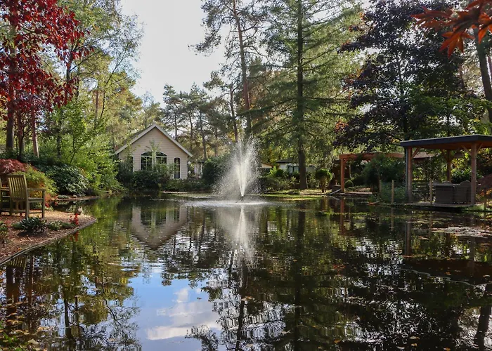 Tranquil Forest By A Pond In Veluwe, Sleeps 4 *