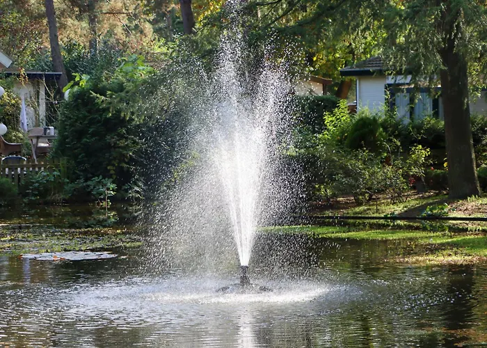 Tranquil Forest By A Pond In Veluwe, Sleeps 4 * Doornspijk