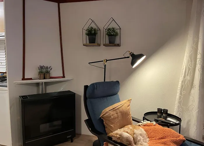 Tranquil Forest By A Pond In Veluwe, Sleeps 4 * Doornspijk