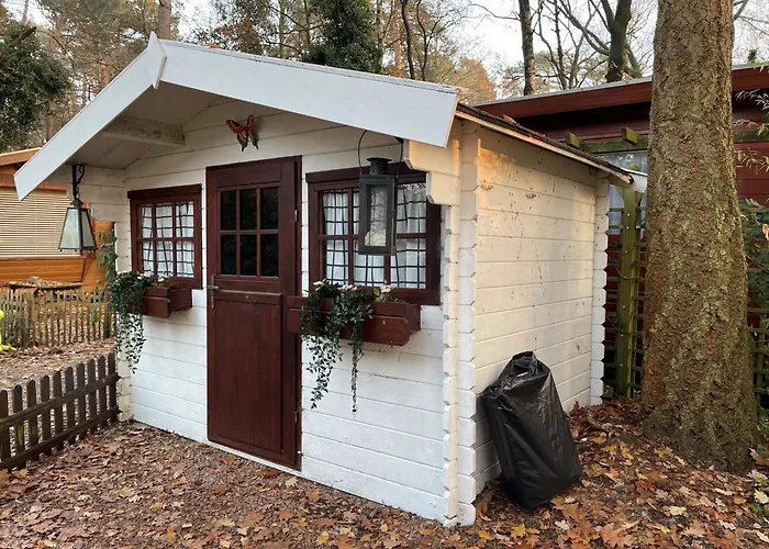 Chalet Tranquil Forest By A Pond In Veluwe, Sleeps 4