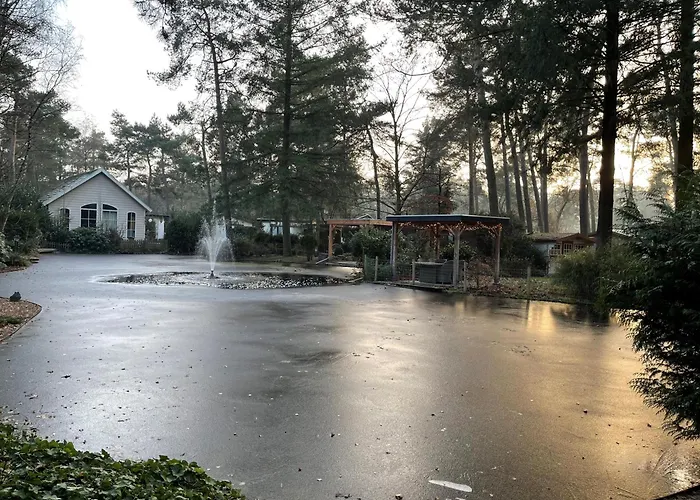 Tranquil Forest By A Pond In Veluwe, Sleeps 4 *