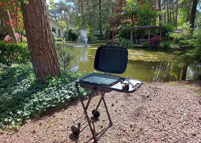 Chalet Tranquil Forest By A Pond In Veluwe, Sleeps 4 Doornspijk