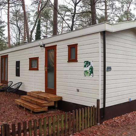 Tranquil Forest By A Pond In Veluwe, Sleeps 4 Doornspijk