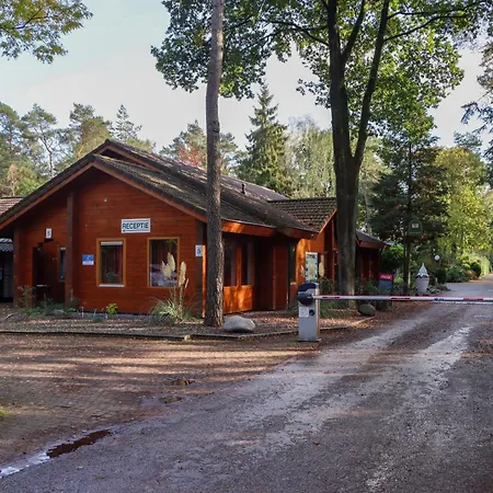 Tranquil Forest By A Pond In Veluwe, Sleeps 4 Chalet *