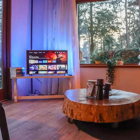 Tranquil Forest By A Pond In Veluwe, Sleeps 4 Doornspijk