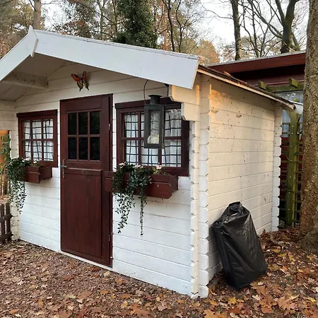 Chalet Tranquil Forest By A Pond In Veluwe, Sleeps 4