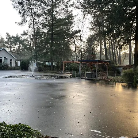 Tranquil Forest By A Pond In Veluwe, Sleeps 4 *