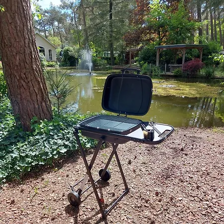 Chalet Tranquil Forest By A Pond In Veluwe, Sleeps 4 Doornspijk